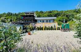 Pensiune 360 mp utili, teren 600 mp, Dubova