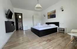 Pensiune 360 mp utili, teren 600 mp, Dubova