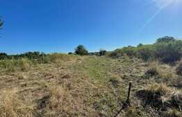 Teren Intravilan 2524 mp, Mischii