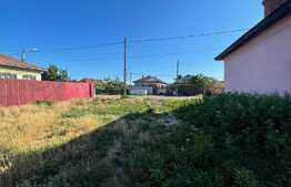 Teren Intravilan 2524 mp, Mischii