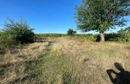 Teren Intravilan 2524 mp, Mischii