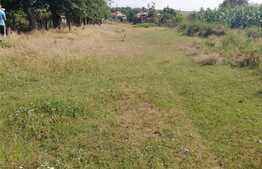 Teren Intravilan 2524 mp, Mischii