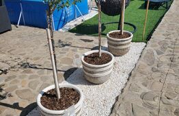 Casa 103 mp utili, teren 253 mp, zona Damila-Capsunarie