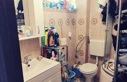 Casa 103 mp utili, teren 253 mp, zona Damila-Capsunarie