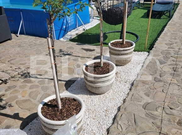 Casa de vânzare 4 camere Malu Mare - 91629CV | BLITZ Craiova | Poza4