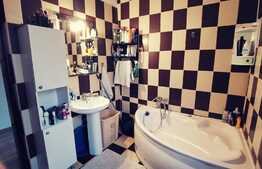 Casa cocheta, 132 mp utili, 493 mp teren, Malu Mare