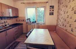 Casa cocheta, 132 mp utili, 493 mp teren, Malu Mare