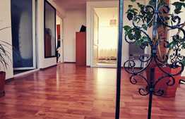 Casa cocheta, 132 mp utili, 493 mp teren, Malu Mare