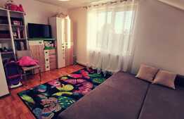 Casa cocheta, 132 mp utili, 493 mp teren, Malu Mare