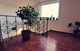 Casa cocheta, 132 mp utili, 493 mp teren, Malu Mare