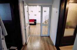 Casa cocheta, 132 mp utili, 493 mp teren, Malu Mare