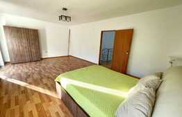 Casa 4 camere, 130mp, curte, centrala proprie, aer conditionat, zona Ford