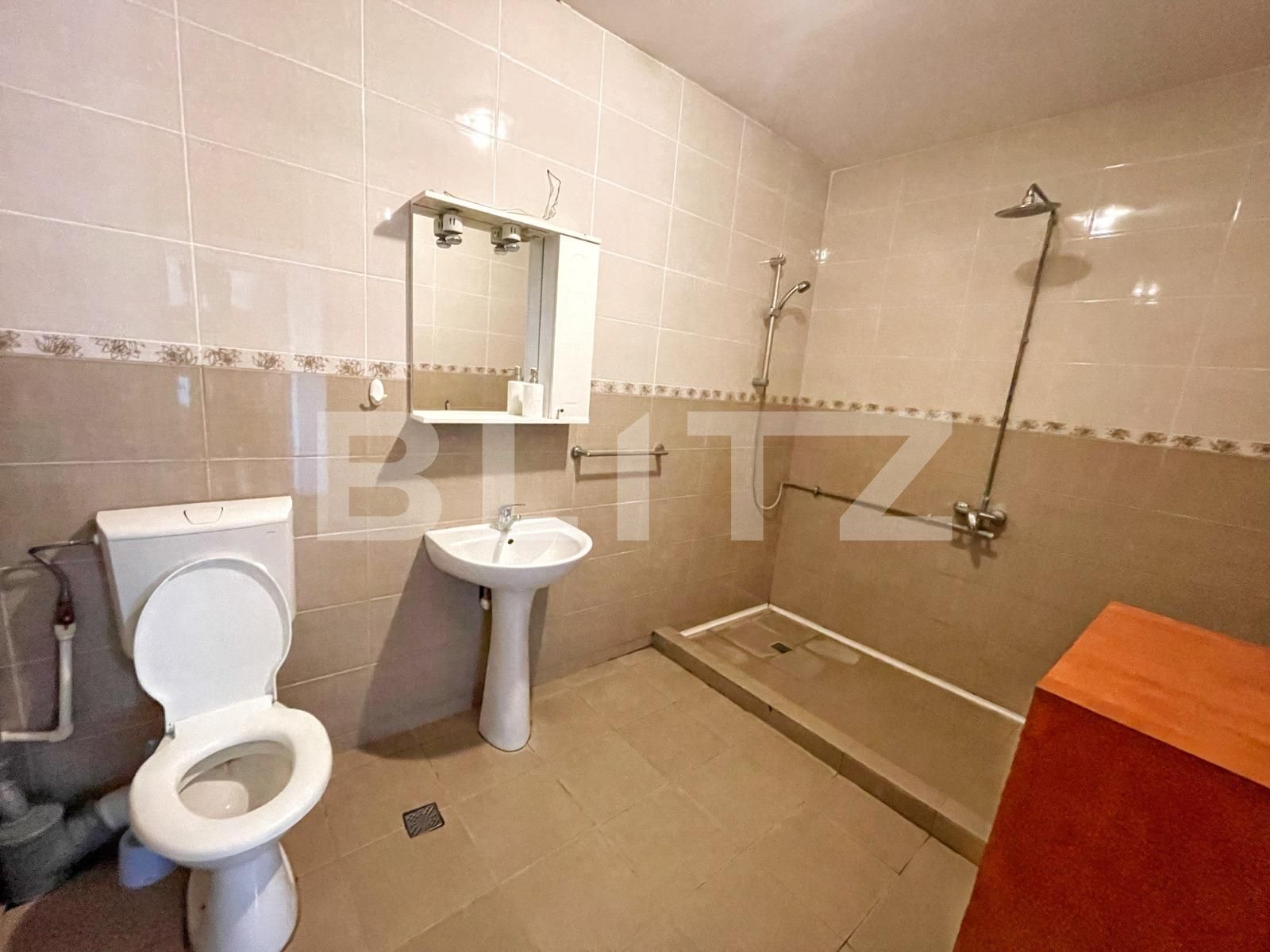 Casa de închiriat 4 camere Malu Mare - 91659CI | BLITZ Craiova | Poza16