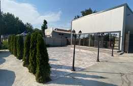 Hala cu spatii comerciale, 250 mp, pretabila Showroom, zona Malu Mare, DN 55