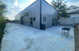 Hala cu spatii comerciale, 250 mp, pretabila Showroom, zona Malu Mare, DN 55