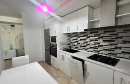 Apartament 2 camere, 56 mp, terasa 20mp, zona Caracal