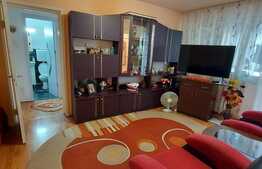 Apartament 2 camere, semidecomandat, 45 mp, Parc Pedagogic