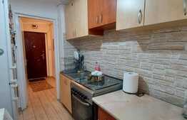 Apartament 2 camere, semidecomandat, 45 mp, Parc Pedagogic