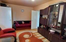 Apartament 2 camere, semidecomandat, 45 mp, Parc Pedagogic