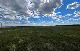 Teren extravilan, 2.800 mp, Izvorul Rece