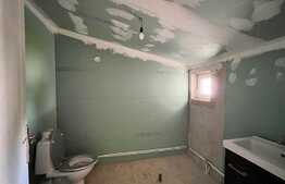 Casă P + M, 133 mp utili, 95 mp teren, zona Parcul Romanescu