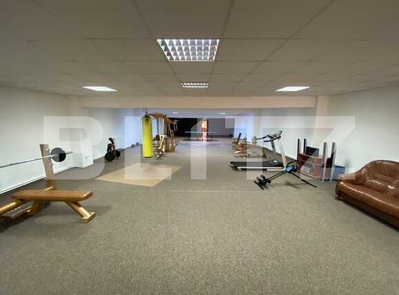 Spațiu industrial de închiriat Exterior Vest - 92013SII | BLITZ Craiova | Poza14