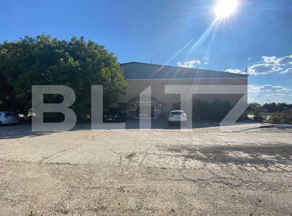 Spațiu industrial de închiriat Exterior Vest - 92013SII | BLITZ Craiova | Poza1