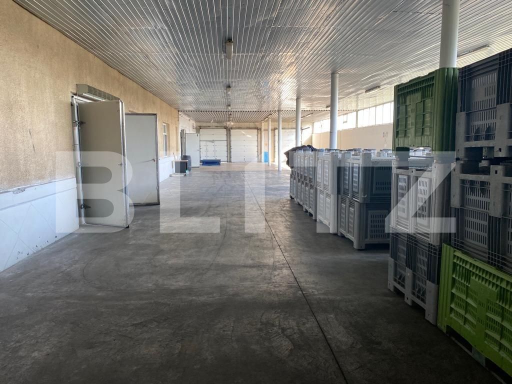 Spațiu industrial de închiriat Exterior Vest - 92013SII | BLITZ Craiova | Poza10