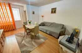 Garsoniera 32mp, etaj intermediar, Brazda lui Novac