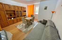 Garsoniera 32mp, etaj intermediar, Brazda lui Novac