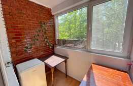 Garsoniera 32mp, etaj intermediar, Brazda lui Novac