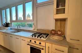 Apartament 2 camere, 57 mp, modern/lux, zona Calea Severin