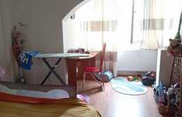 Apartament 2 camere, 45 mp, zona Brazda lui Novac