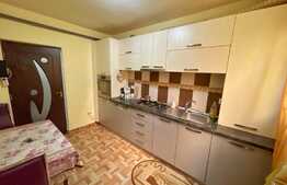 Apartament 2 camere, 75mp, centrala, petfriendly, George Enescu