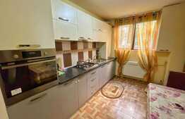Apartament 2 camere, 75mp, centrala, petfriendly, George Enescu