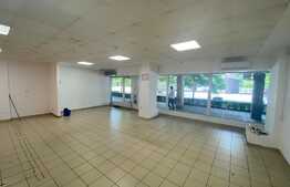 Spatiu comercial, 98 mp, zona Ultracentrala