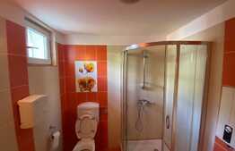 Spatiu comercial, 58 mp, zona Rovine