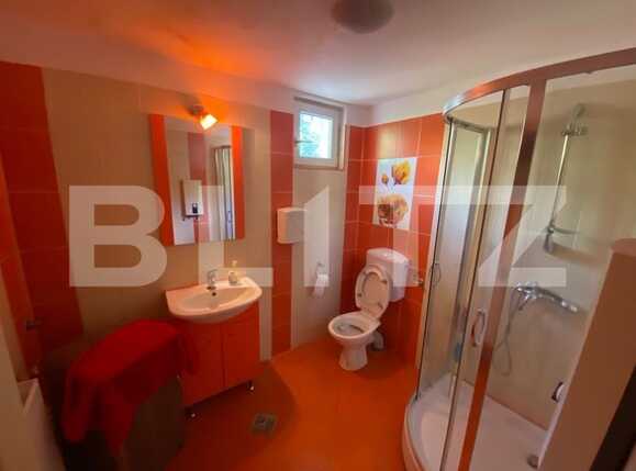 Spațiu comercial de închiriat Rovine - 92438SIC | BLITZ Craiova | Poza6