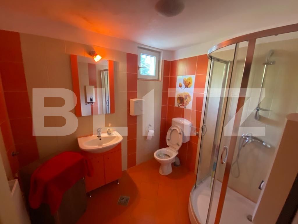 Spațiu comercial de închiriat Rovine - 92438SIC | BLITZ Craiova | Poza6