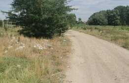 Ocazie ! Teren 2344 mp, extravilan, zona Popoveni