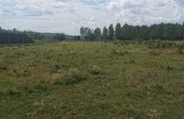 Ocazie ! Teren 2344 mp, extravilan, zona Popoveni