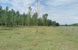 Ocazie ! Teren 2344 mp, extravilan, zona Popoveni