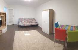 Garsoniera decomandata, 30 mp, pet friendly, zona Rovine