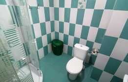 Apartament de 2 camere, centrala termica, AC, zona Calea Severinului