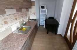 Apartament de 2 camere, centrala termica, AC, zona Calea Severinului