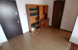 Apartament de 2 camere, centrala termica, AC, zona Calea Severinului