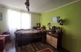 Apartament modern de 3 camere, curte, 74 mp, Brazda lui Novac