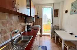 Apartament 2 camere, 50 mp, mobilat si utilat modern, Ultracentral