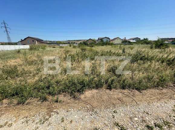 Teren de vânzare Bariera Valcii - 92885TV | BLITZ Craiova | Poza2