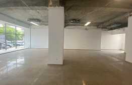 Spatiu comercial, 175 mp, Zona Ultracentrala